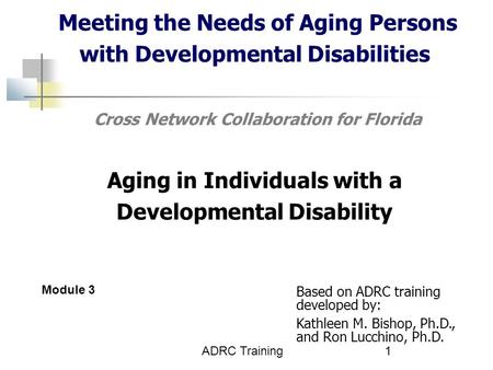 Meeting the Needs of Aging Persons with Developmental Disabilities Cross Network Collaboration for Florida Aging in Individuals with a Developmental.
