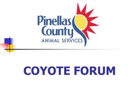 COYOTE FORUM. Which one is the Coyote? Maybe it’s one of these?