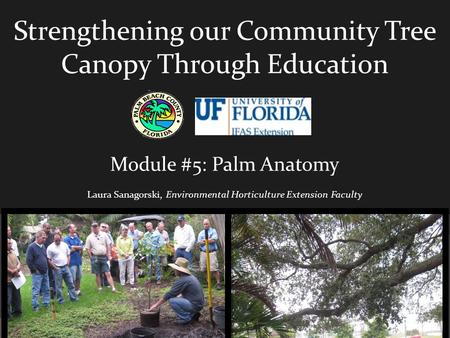 Strengthening our Community Tree Canopy Through Education Module #5: Palm Anatomy Laura Sanagorski, Environmental Horticulture Extension Faculty.