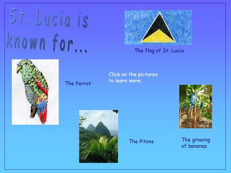St. Lucia is known for... The flag of St. Lucia