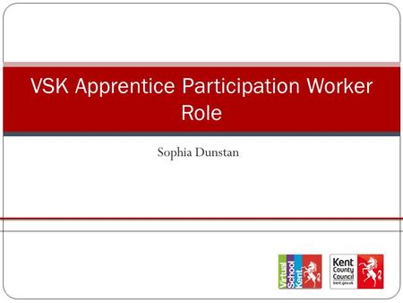 VSK Apprentice Participation Worker Role