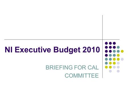 NI Executive Budget 2010 BRIEFING FOR CAL COMMITTEE.