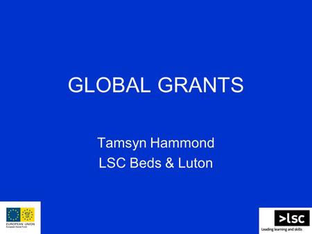 GLOBAL GRANTS Tamsyn Hammond LSC Beds & Luton. What are Global Grants? Small scale grants for local community and voluntary organisations and other non-governmental,