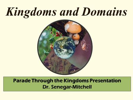 Parade Through the Kingdoms Presentation