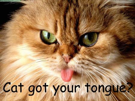 Cat got your tongue?.
