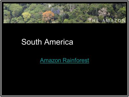 South America Amazon Rainforest. The World’s Rainforests Rainforests cover 7% of the Earth’s land surface. The world’s tropical rainforests are home to.