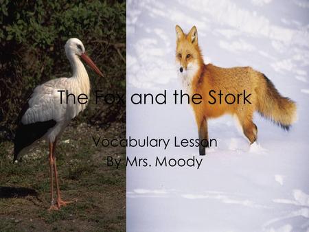 The Fox and the Stork Vocabulary Lesson By Mrs. Moody.