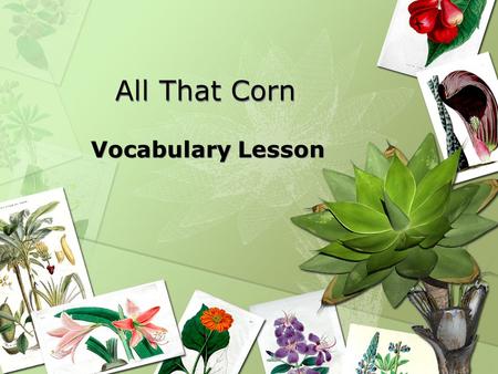 All That Corn Vocabulary Lesson. ELA1R5 The student acquires and uses grade-level words to communicate effectively. The student a. Reads and listens to.