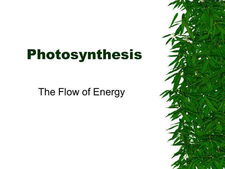 Photosynthesis The Flow of Energy.