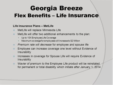 Georgia Breeze Flex Benefits – Life Insurance