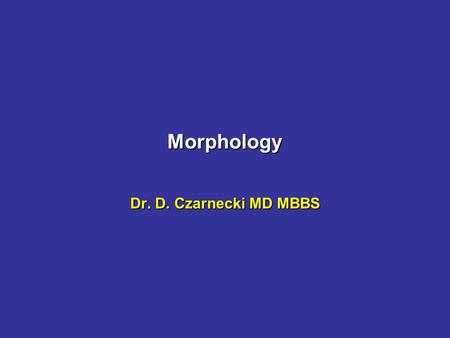 Morphology Dr. D. Czarnecki MD MBBS. A macule - flat This was a melanoma.