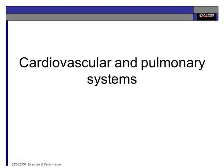 Cardiovascular and pulmonary systems