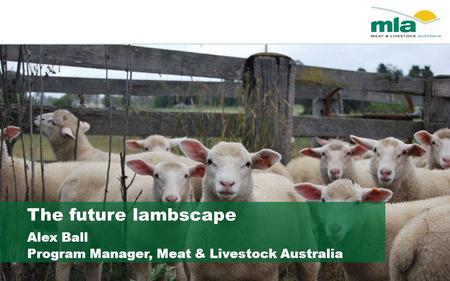 The future lambscape Alex Ball Program Manager, Meat & Livestock Australia.