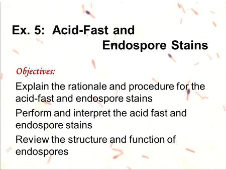 Ex. 5: Acid-Fast and Endospore Stains