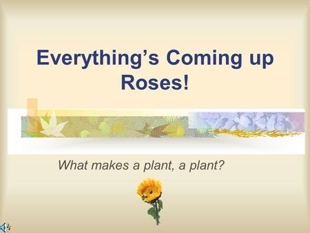 Everything’s Coming up Roses! What makes a plant, a plant?