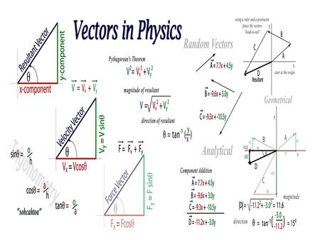 PHYSICS Vectors and Scalars.