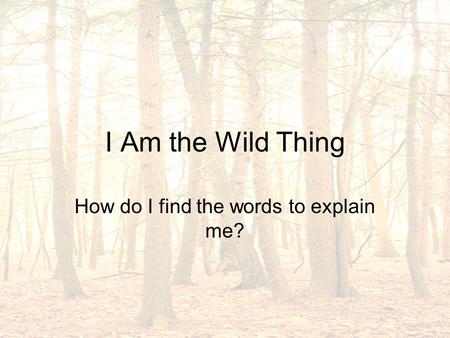 I Am the Wild Thing How do I find the words to explain me?