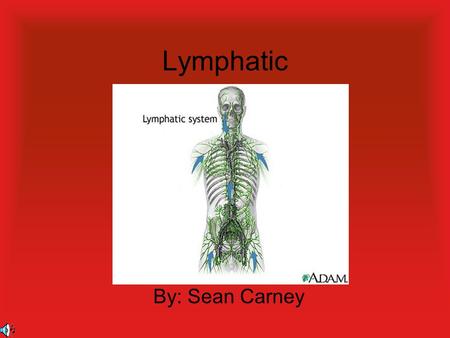 Lymphatic By: Sean Carney Functions Return leaked fluids to blood vessels. Fight off disease. Help absorb fats.2.