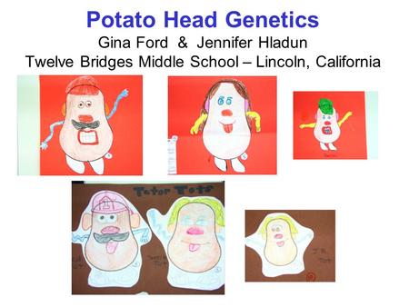 Overview ~Cumulative Assessment Project ~3 Generations of Potato Heads
