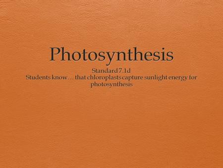Photosynthesis Standard 7.1d