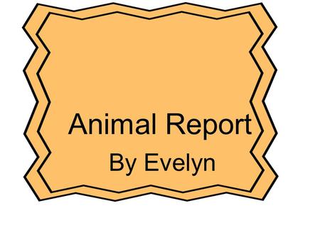 Animal Report Cover Page Title of the report Author Picture of animal