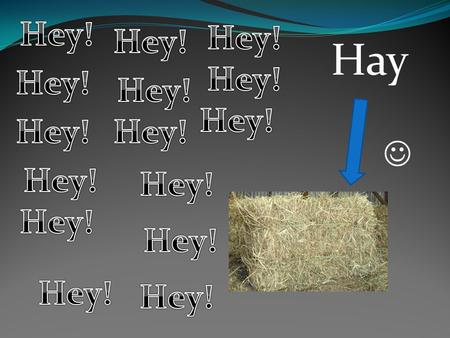 Hay HEY STOP DANCING!!! >:( Note that, if I add down, the y's will cancel out. So I'll draw an equals bar under the system, and add down.