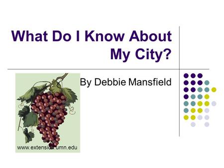 What Do I Know About My City? By Debbie Mansfield www.extension.umn.edu.