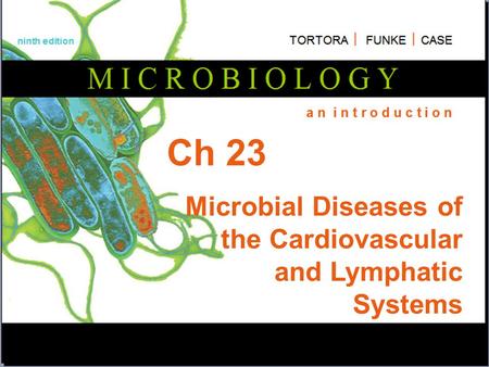 Ch 23 Microbial Diseases of the Cardiovascular and Lymphatic Systems.