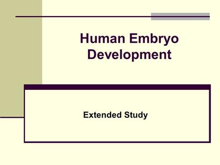 Human Embryo Development