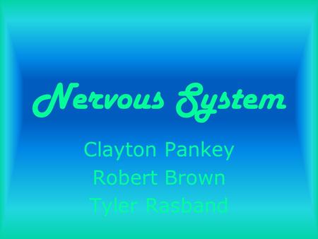 Nervous System Clayton Pankey Robert Brown Tyler Rasband.