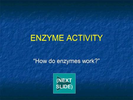 ENZYME ACTIVITY “How do enzymes work?” (NEXT SLIDE)