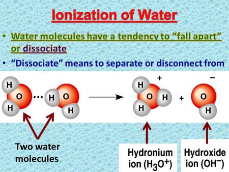 Two water molecules. one water molecule Hydrogen ion Hydroxide ion.