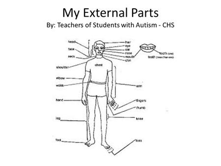 My External Parts By: Teachers of Students with Autism - CHS.