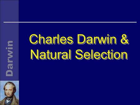 Charles Darwin & Natural Selection. LifelineLifeline n Born 1809 n Study (Edinburgh and Cambridge) 1825-1831 n Voyage of the Beagle 1831-36 n Retired.