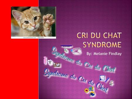 Cri Du Chat Syndrome By: Melanie Findlay.