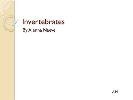 Invertebrates By Alenna Naeve A.N.