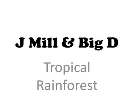 J Mill & Big D Tropical Rainforest. Topical Rainforest Tropical rainforests cover about 6% of the Earth's total land surface. They are mainly located.