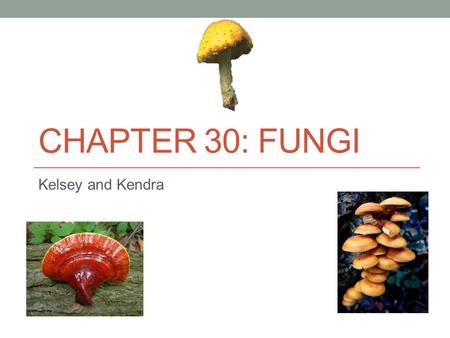 Chapter 30: Fungi Kelsey and Kendra.