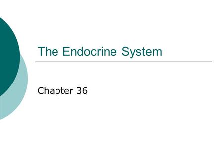 The Endocrine System Chapter 36.