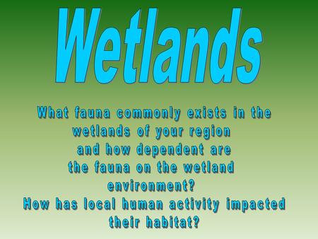 1. Why did we ask the question? We asked the question because we were particularly interested in the fauna of wetlands. In addition to this, we wanted.