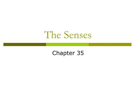 The Senses Chapter 35.