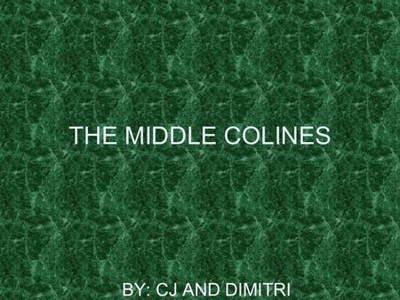 THE MIDDLE COLINES BY: CJ AND DIMITRI NAME OF COLONIES There are all types of settlers Pennsylvania NEW Hampshire DELAWARE There are all types of settlers.