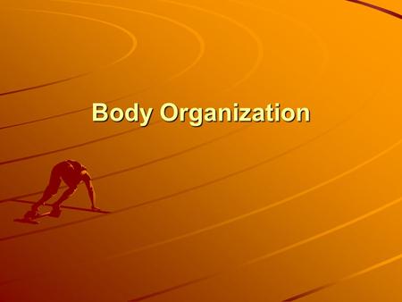 Body Organization.