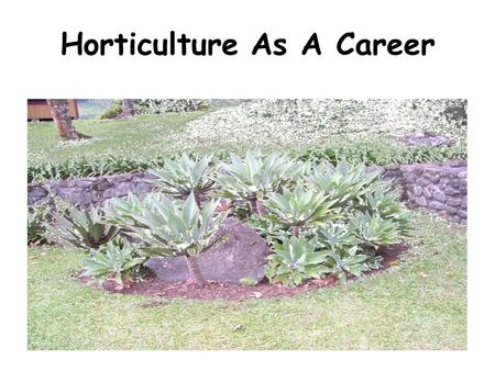 Horticulture As A Career