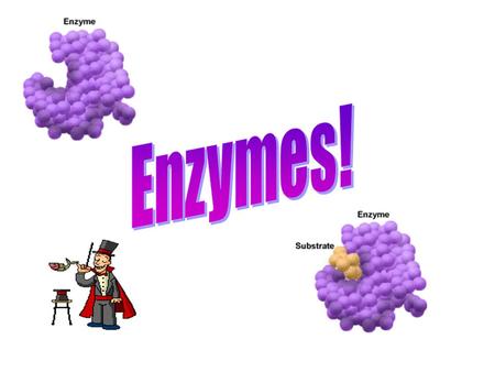 Enzymes!.
