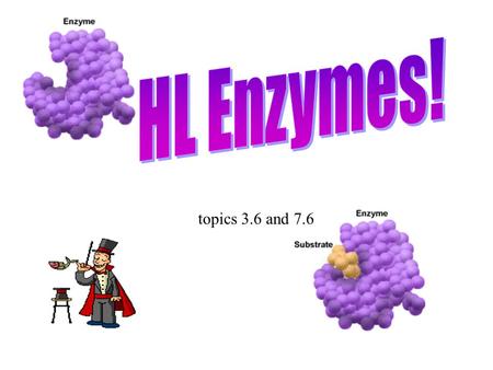 HL Enzymes! topics 3.6 and 7.6.
