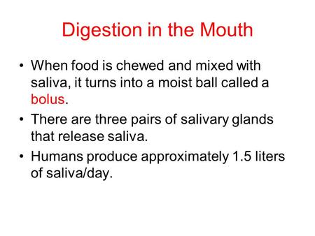 Digestion in the Mouth When food is chewed and mixed with saliva, it turns into a moist ball called a bolus. There are three pairs of salivary glands that.