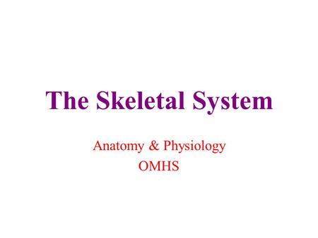 Anatomy & Physiology OMHS