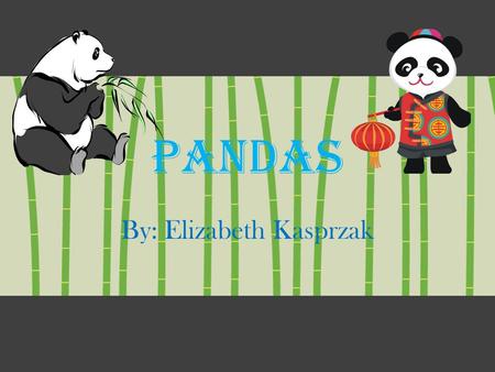 Pandas By: Elizabeth Kasprzak Pandas are extraordinary animals. They’re different from other animals. Pandas prefer to live alone. What newborn pandas.