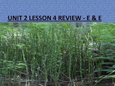 UNIT 2 LESSON 4 REVIEW - E & E. 1. Secondary succession… A) occurs before a disturbance. B) occurs after a disturbance and the soil does not remain intact.